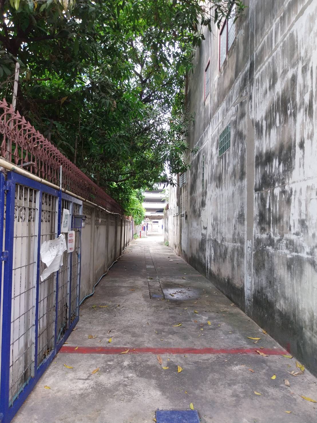 Entrance to the plot for sale