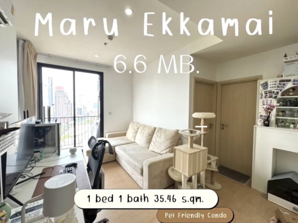 MARU EKKAMAI 2 Living