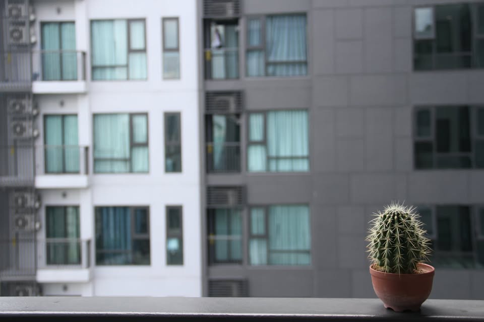 Rhythm Sukhumvit 36 - 38